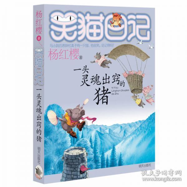 疯狂的小偷