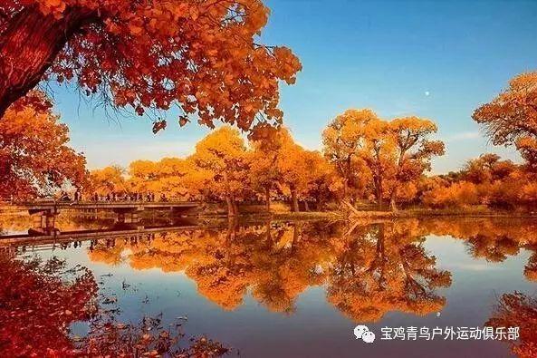 怪物大脚杯2