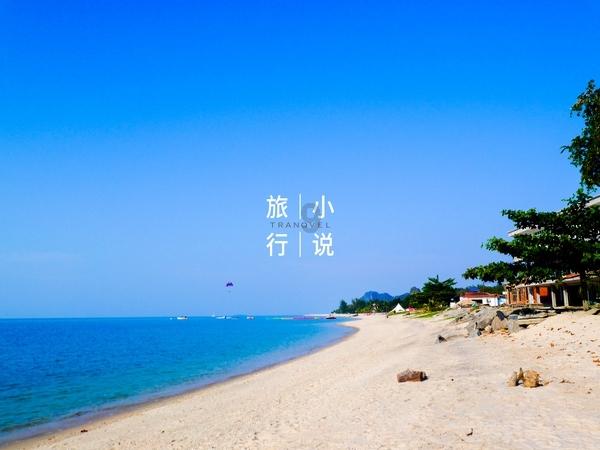 公主的阅读区